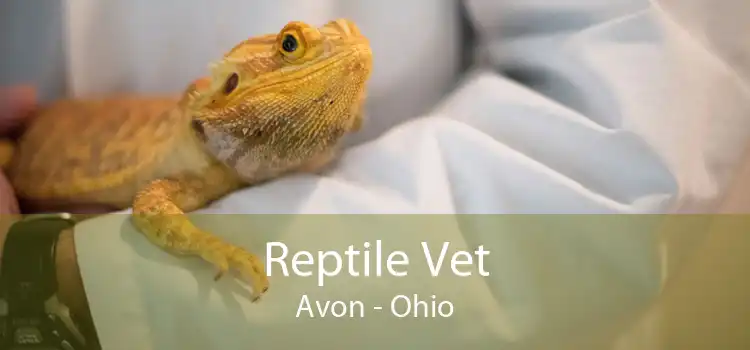 Reptile Vet Avon - Ohio