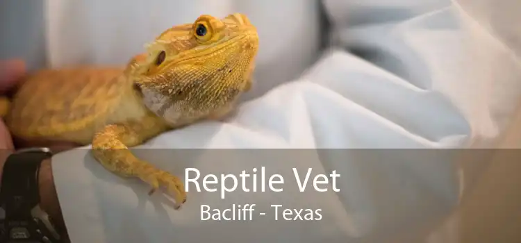 Reptile Vet Bacliff - Texas