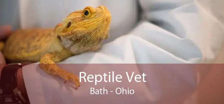 Reptile Vet Bath - Ohio