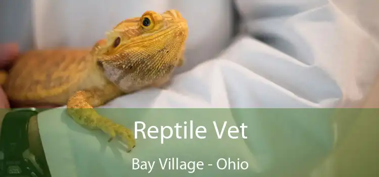 Reptile Vet Bay Village - Ohio