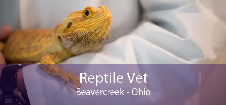 Reptile Vet Beavercreek - Ohio
