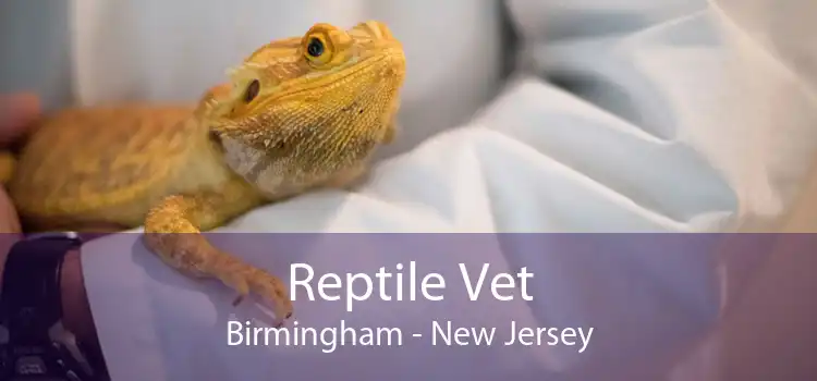 Reptile Vet Birmingham - New Jersey