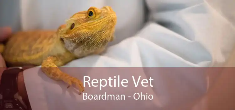 Reptile Vet Boardman - Ohio