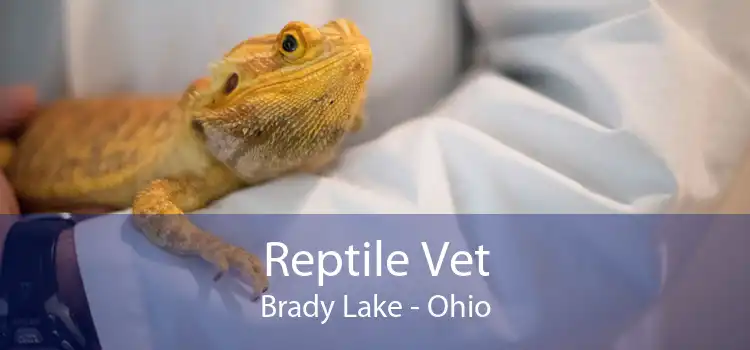Reptile Vet Brady Lake - Ohio