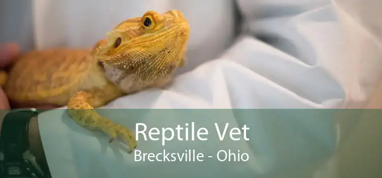 Reptile Vet Brecksville - Ohio