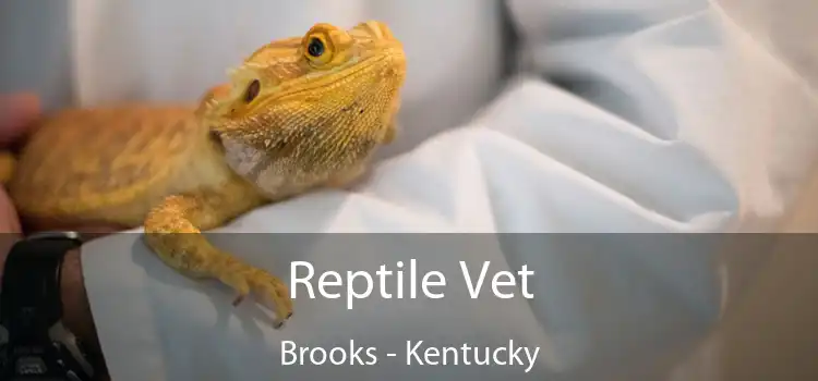 Reptile Vet Brooks - Kentucky