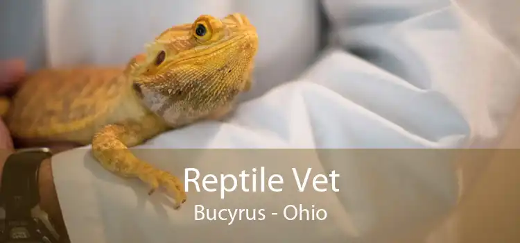 Reptile Vet Bucyrus - Ohio