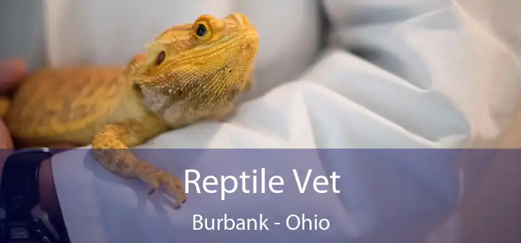 Reptile Vet Burbank - Ohio