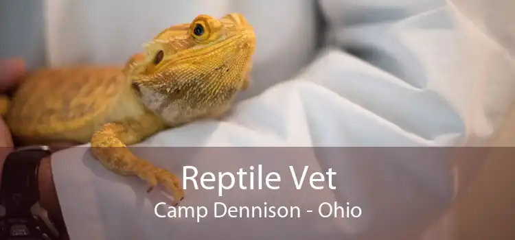 Reptile Vet Camp Dennison - Ohio