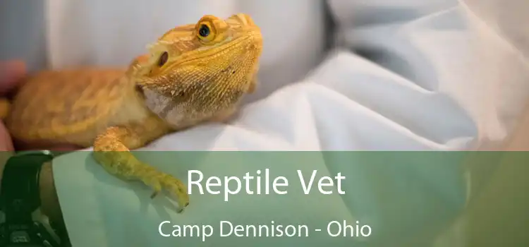 Reptile Vet Camp Dennison - Ohio