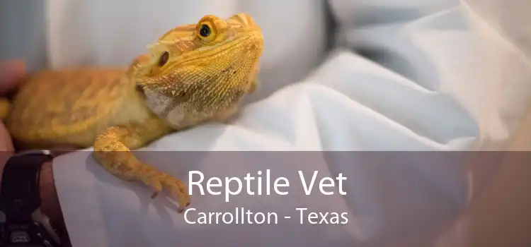 Reptile Vet Carrollton - Texas