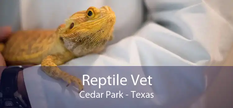 Reptile Vet Cedar Park - Texas