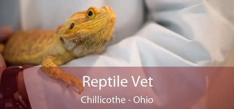 Reptile Vet Chillicothe - Ohio