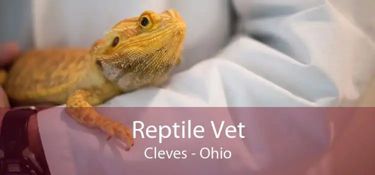 Reptile Vet Cleves - Ohio