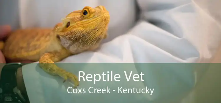 Reptile Vet Coxs Creek - Kentucky