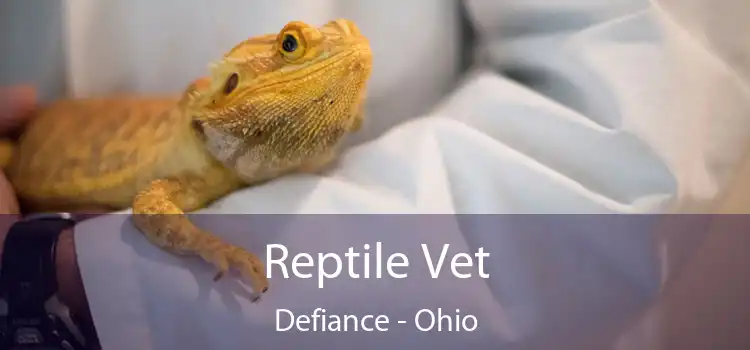 Reptile Vet Defiance - Ohio