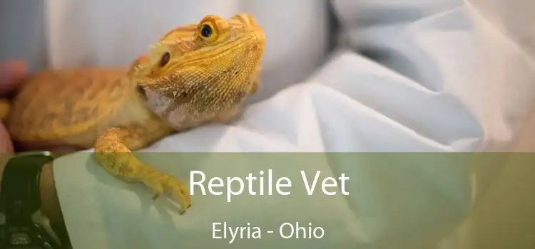 Reptile Vet Elyria - Ohio