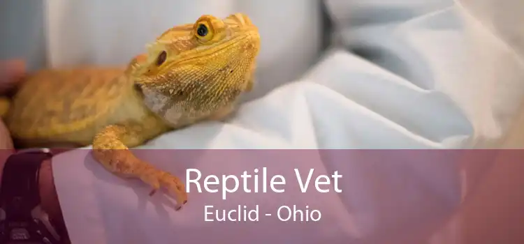 Reptile Vet Euclid - Ohio