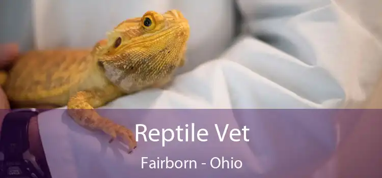 Reptile Vet Fairborn - Ohio