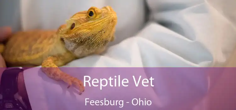 Reptile Vet Feesburg - Ohio