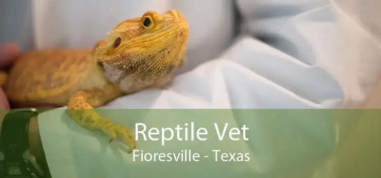 Reptile Vet Fioresville - Texas