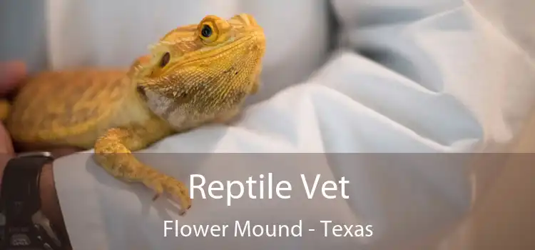 Reptile Vet Flower Mound - Texas