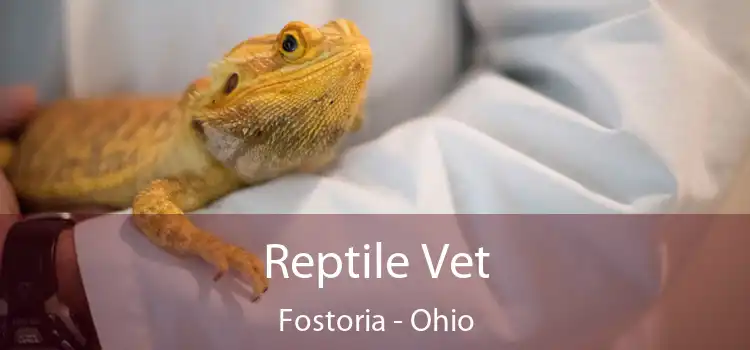 Reptile Vet Fostoria - Ohio