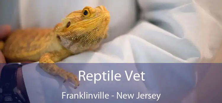 Reptile Vet Franklinville - New Jersey