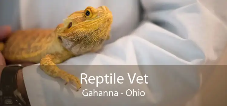 Reptile Vet Gahanna - Ohio