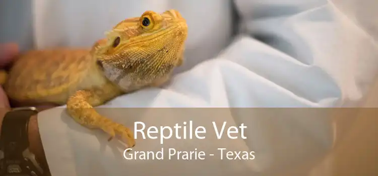 Reptile Vet Grand Prarie - Texas