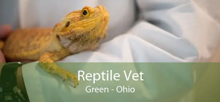 Reptile Vet Green - Ohio