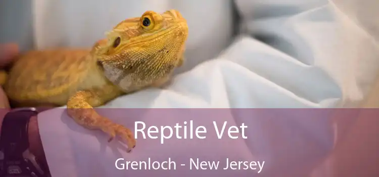 Reptile Vet Grenloch - New Jersey