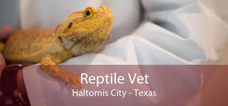 Reptile Vet Haltomis City - Texas