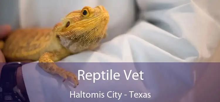 Reptile Vet Haltomis City - Texas