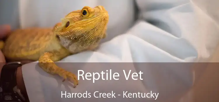 Reptile Vet Harrods Creek - Kentucky