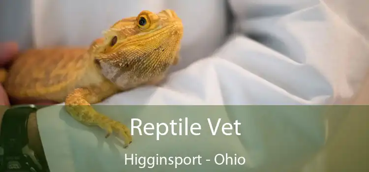 Reptile Vet Higginsport - Ohio