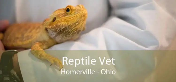 Reptile Vet Homerville - Ohio