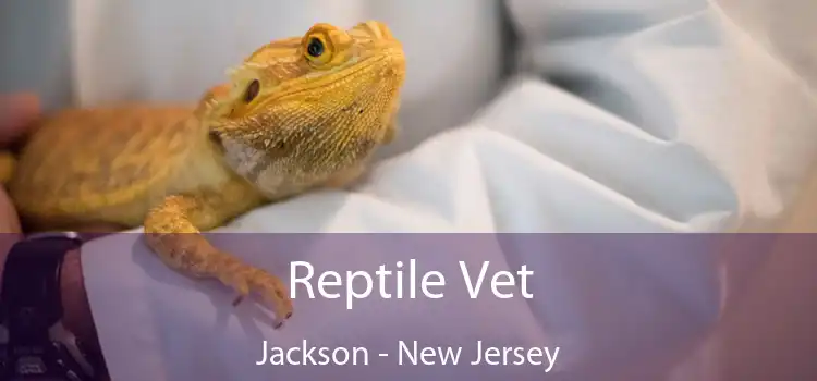 Reptile Vet Jackson - New Jersey