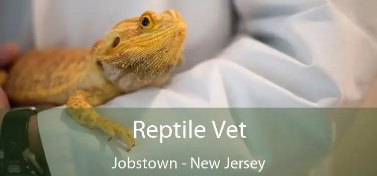 Reptile Vet Jobstown - New Jersey