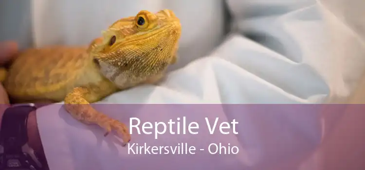 Reptile Vet Kirkersville - Ohio