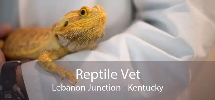 Reptile Vet Lebanon Junction - Kentucky