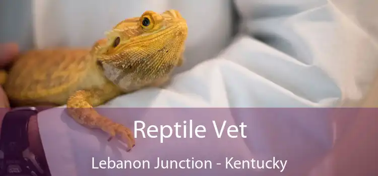 Reptile Vet Lebanon Junction - Kentucky