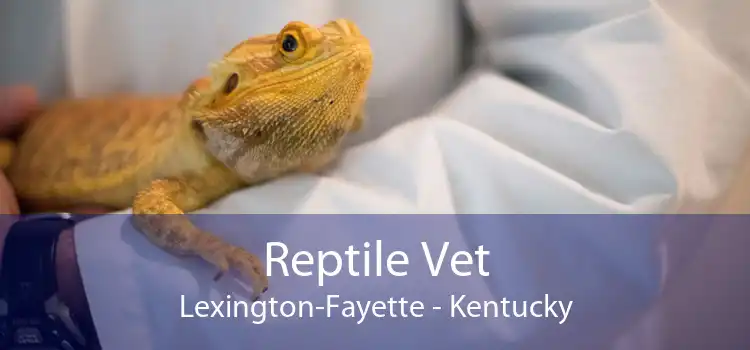 Reptile Vet Lexington-Fayette - Kentucky