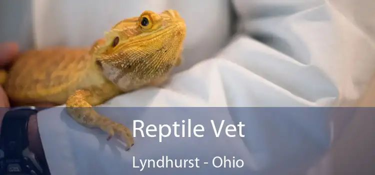 Reptile Vet Lyndhurst - Ohio