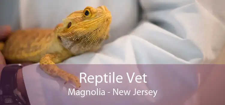 Reptile Vet Magnolia - New Jersey
