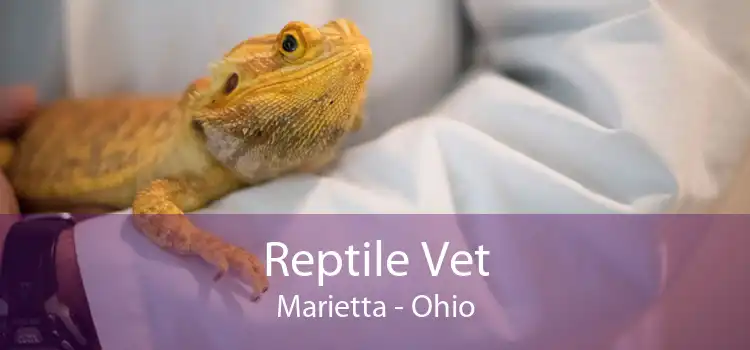 Reptile Vet Marietta - Ohio