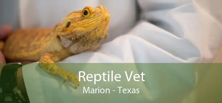 Reptile Vet Marion - Texas