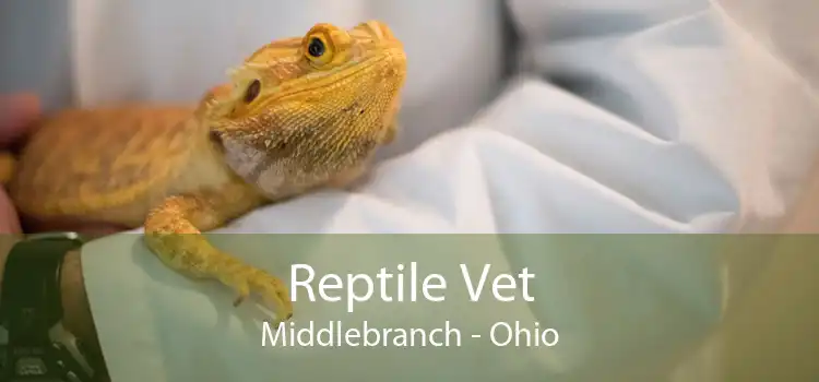 Reptile Vet Middlebranch - Ohio