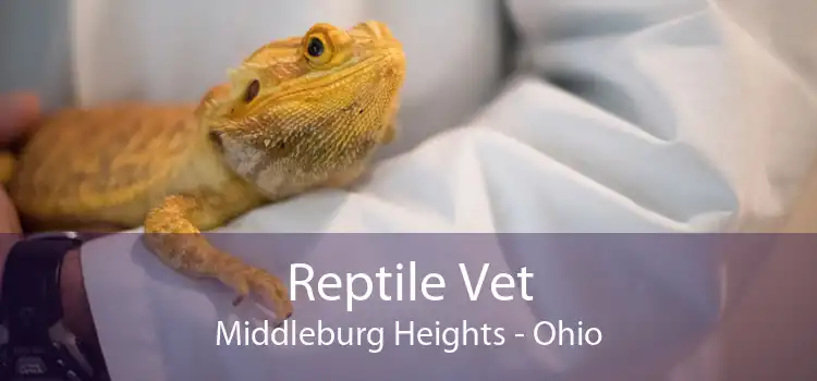Reptile Vet Middleburg Heights - Ohio