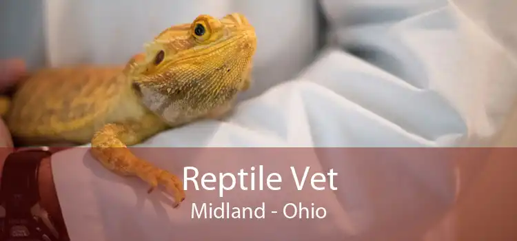 Reptile Vet Midland - Ohio